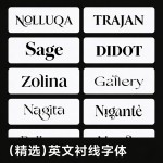 12 Selected English Serif Font Pack