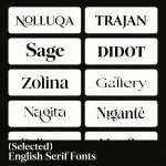 12 Selected English Serif Font Pack