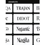 12 Selected English Serif Font Pack