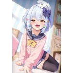 Exquisite anime wallpapers