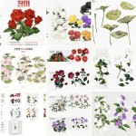 Flower Brush Collection