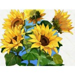 Flower Brush Collection